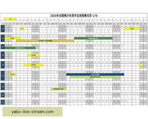 世界杯竞猜专家解析未来赛事走势，揭示热门球队胜负关键因素